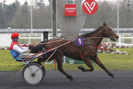 Actualités Hippiques